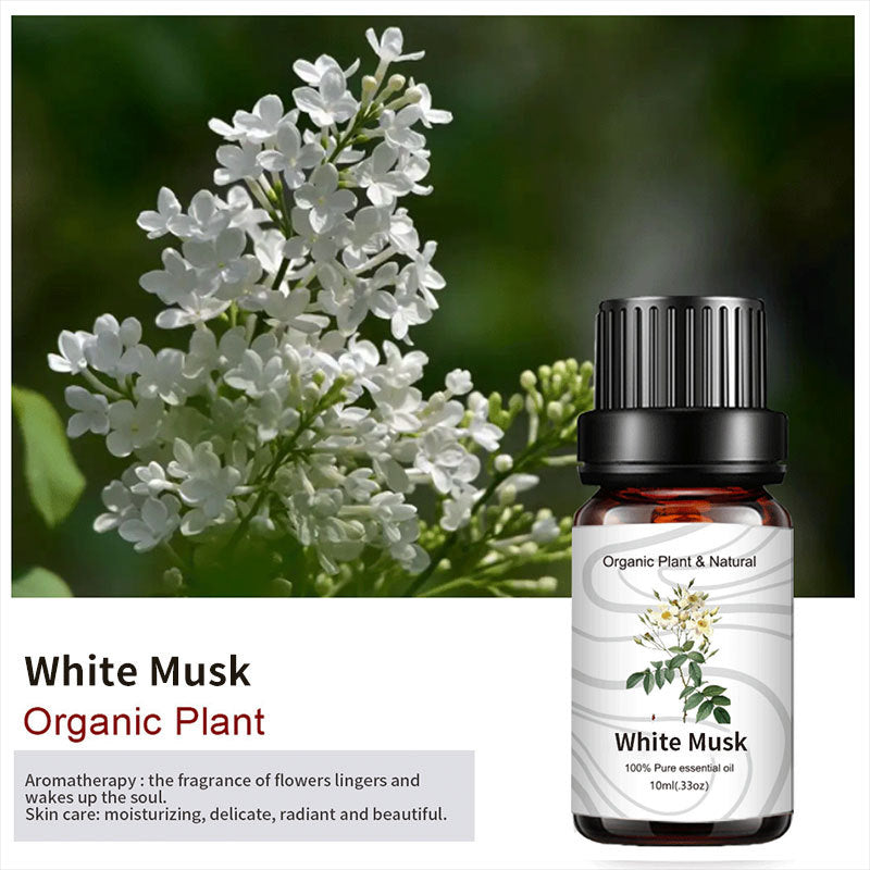 Essential Bloom™ – Oils Collection By Aromyst