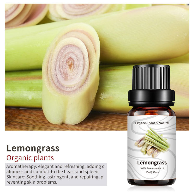 Essential Bloom™ – Oils Collection By Aromyst