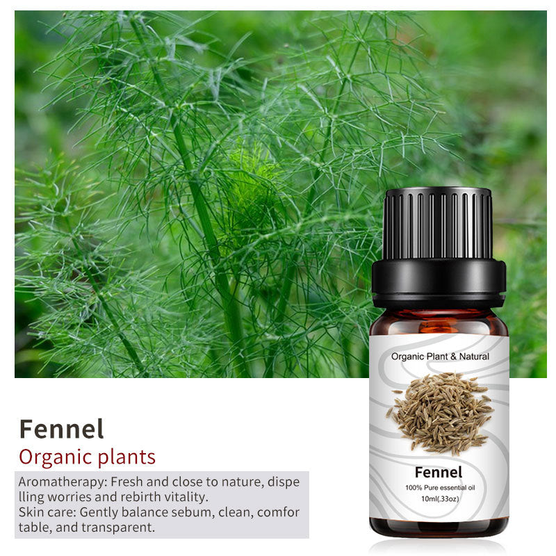 Essential Bloom™ – Oils Collection By Aromyst