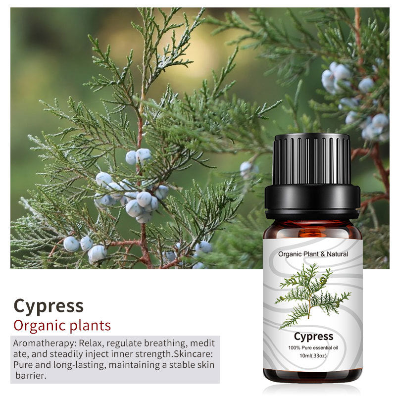 Essential Bloom™ – Oils Collection By Aromyst