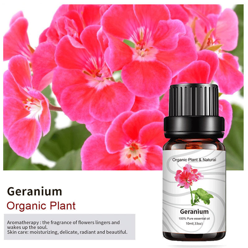 Essential Bloom™ – Oils Collection By Aromyst