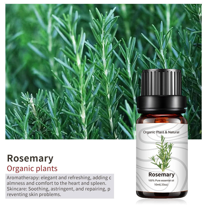 Essential Bloom™ – Oils Collection By Aromyst