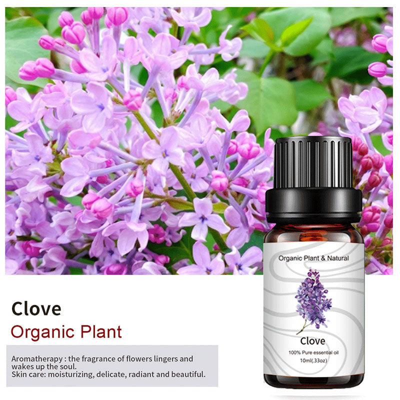 Essential Bloom™ – Oils Collection By Aromyst