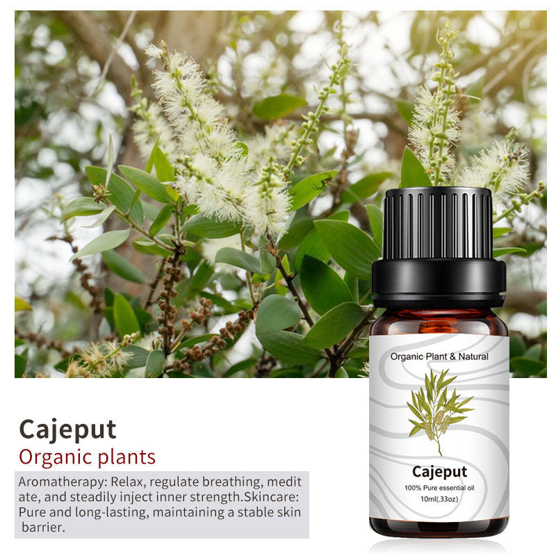 Essential Bloom™ – Oils Collection By Aromyst