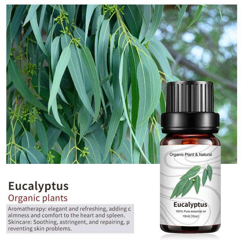 Essential Bloom™ – Oils Collection By Aromyst