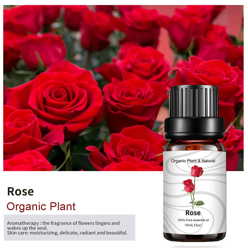 Essential Bloom™ – Oils Collection By Aromyst