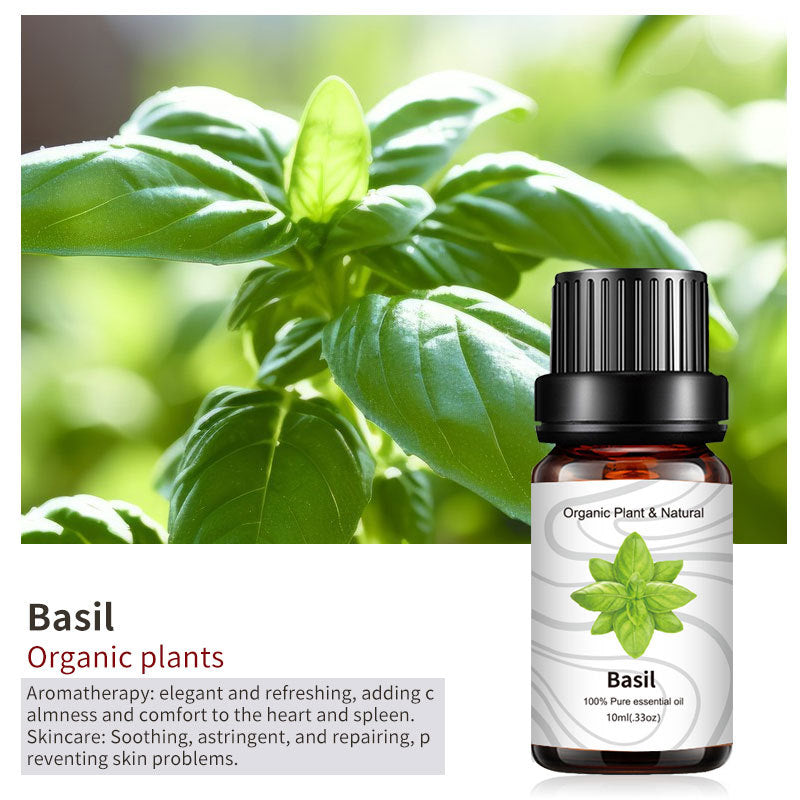Essential Bloom™ – Oils Collection By Aromyst