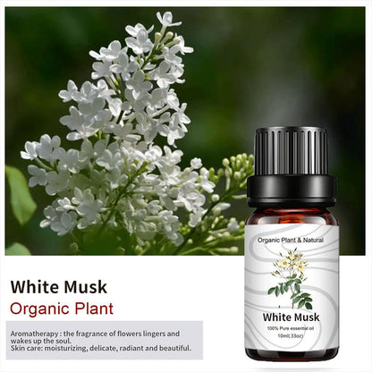 Essential Bloom™ – Oils Collection By Aromyst