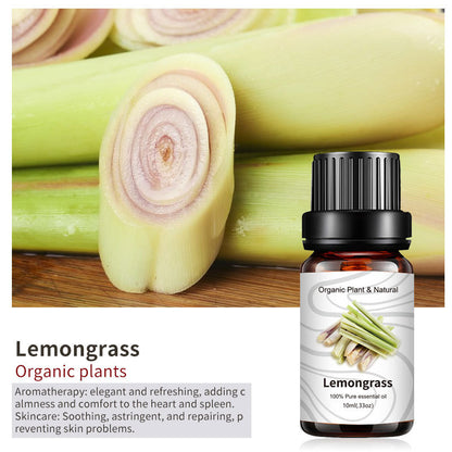 Essential Bloom™ – Oils Collection By Aromyst