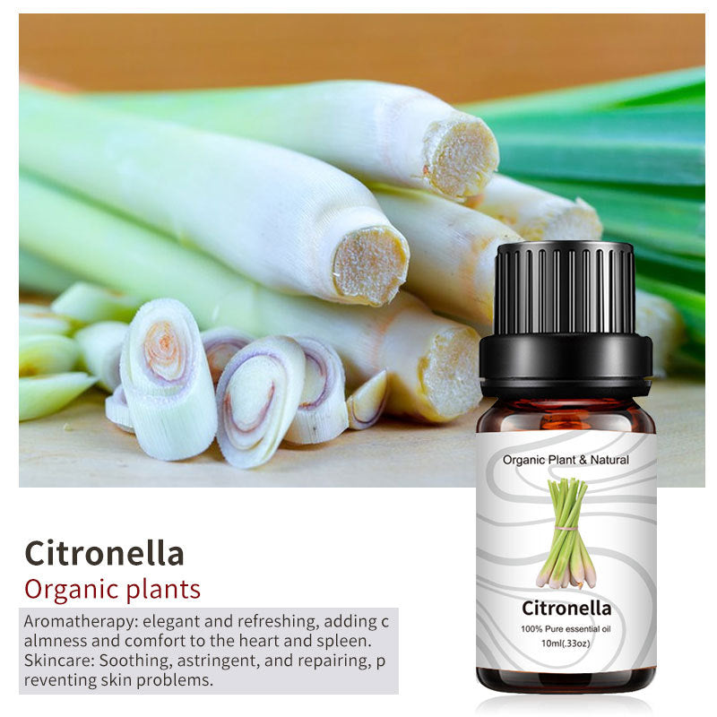 Essential Bloom™ – Oils Collection By Aromyst