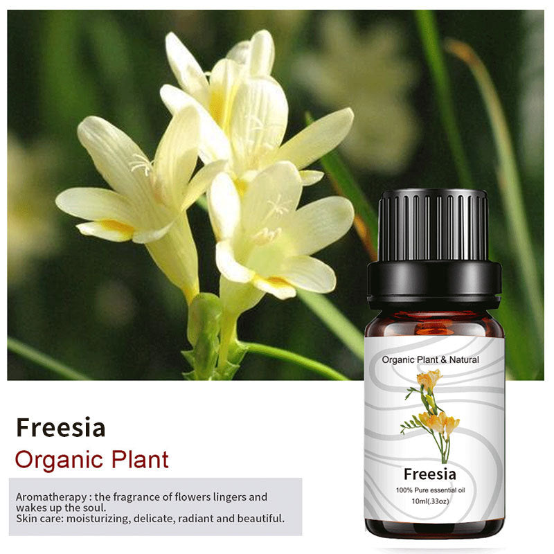 Essential Bloom™ – Oils Collection By Aromyst
