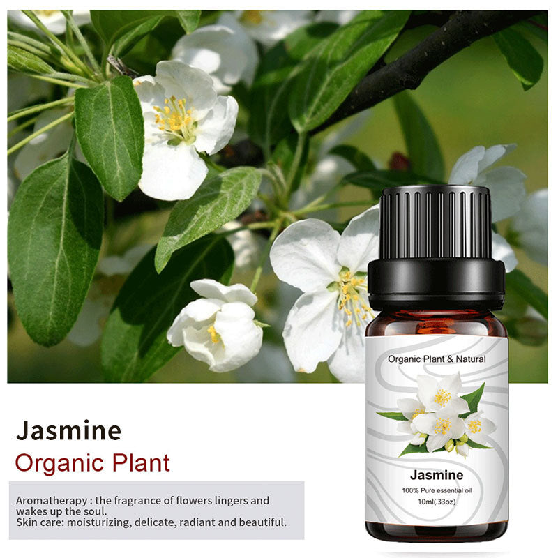 Essential Bloom™ – Oils Collection By Aromyst