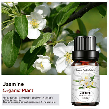 Essential Bloom™ – Oils Collection By Aromyst