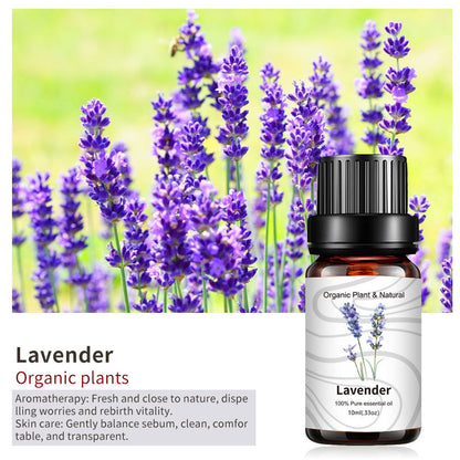 Essential Bloom™ – Oils Collection By Aromyst