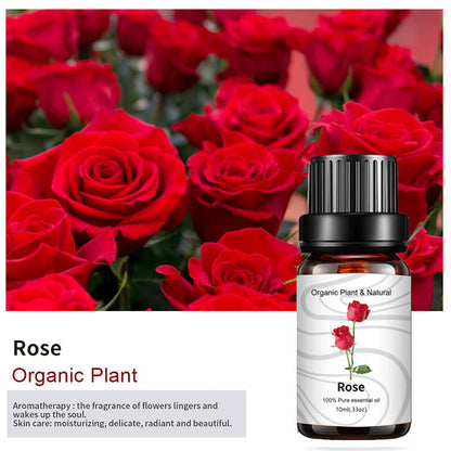 Essential Bloom™ – Oils Collection By Aromyst
